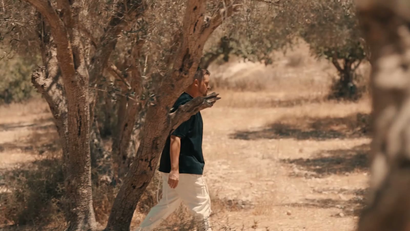 The camera gliding through the olive grove, from Yo Calev, Upright